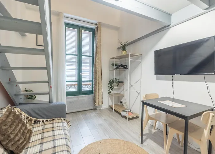 Duplex - Centre - Gare Matabiau Διαμέρισμα Τουλούζη